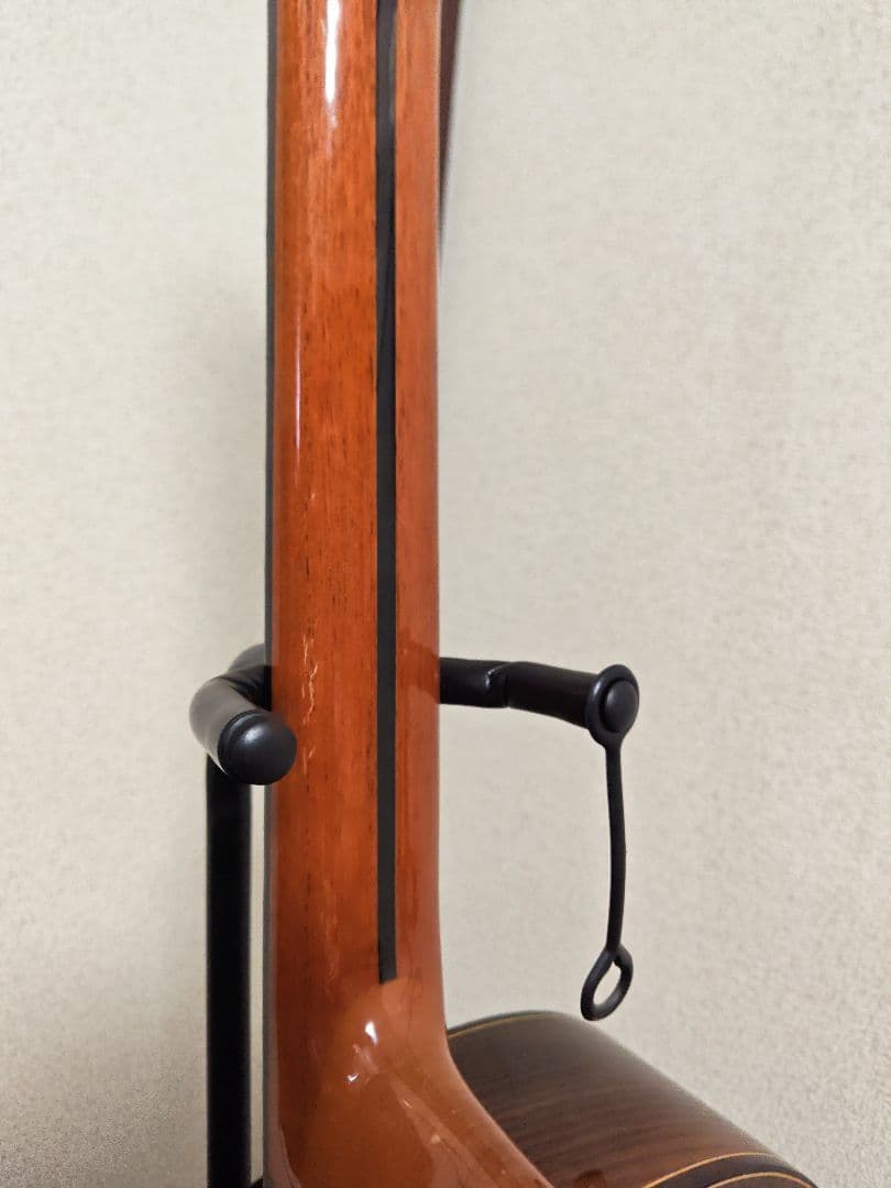 Jose Ramirez 4N-CWE / L.R.Baggs Anthem搭載