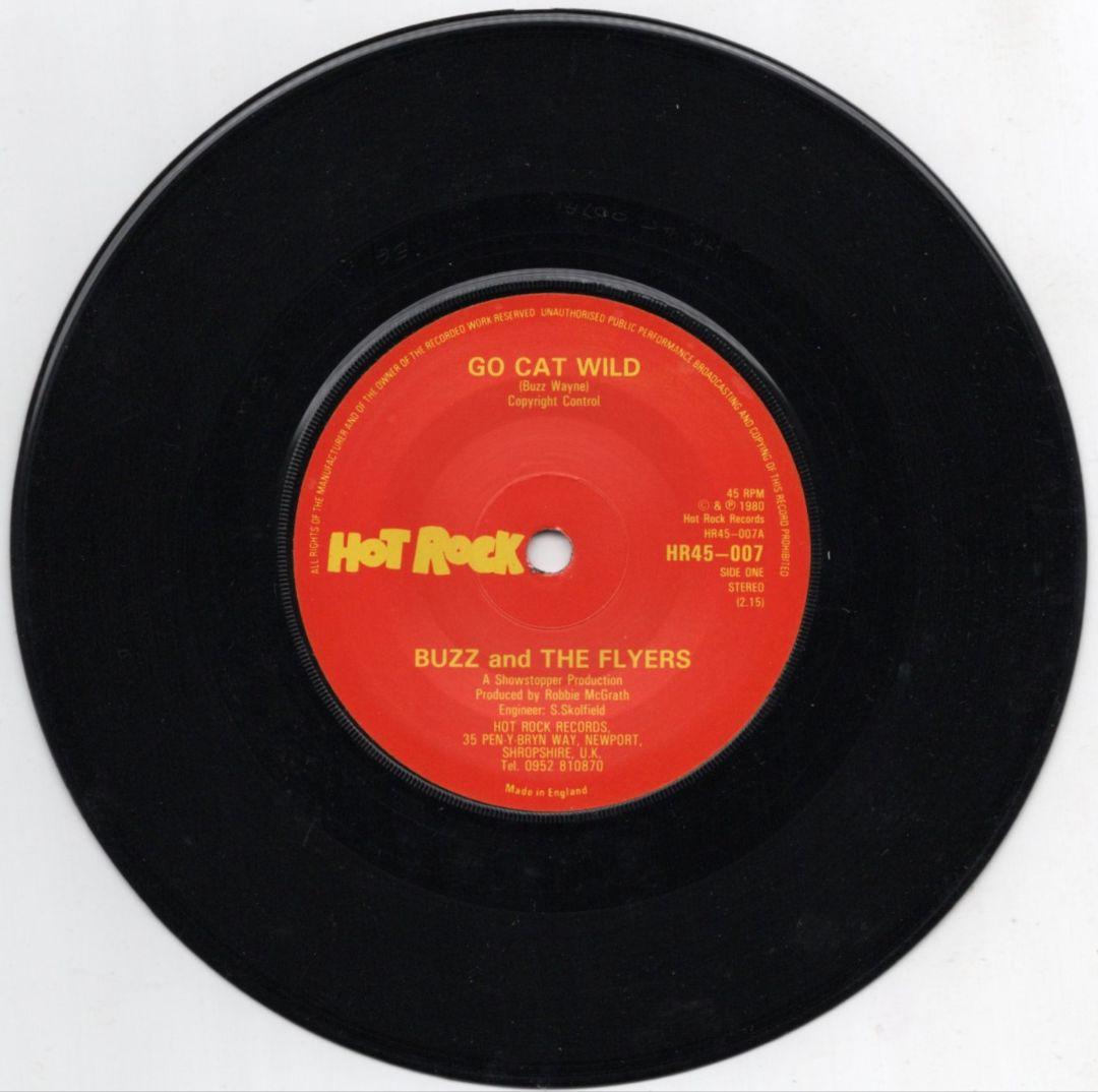 BUZZ AND THE FLYERS - GO CAT WILD - 洋楽特別