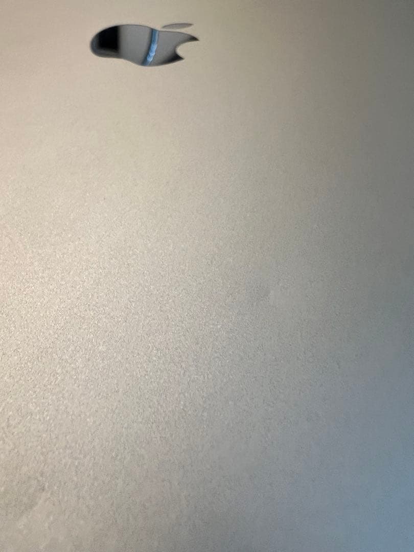 iPad本体 Apple iPad Air 2 (MH1J2J/A) 128GB