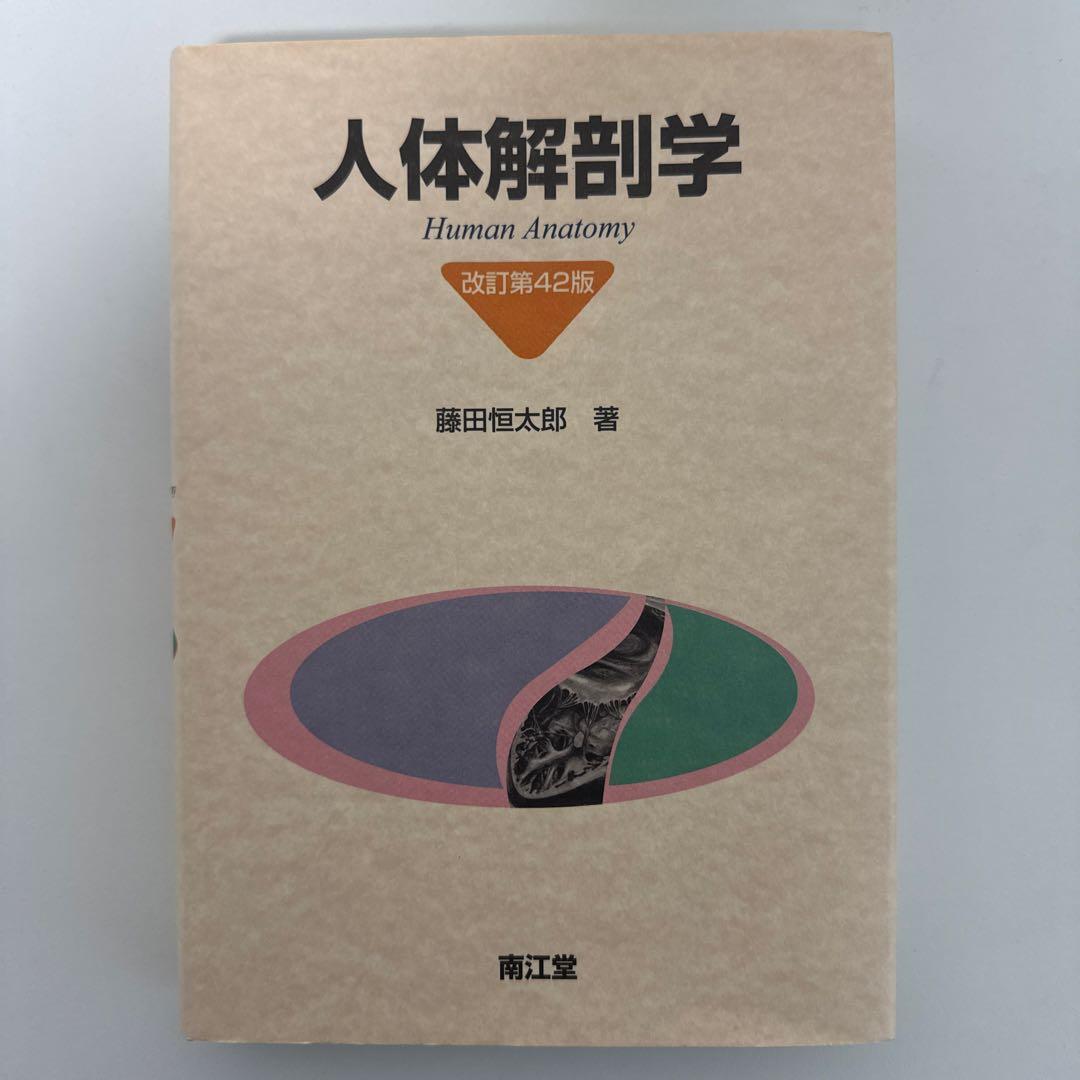 人体解剖学 Amazon.co.jp: ziyue 人体模型 パズル 28cm 15パーツ 取り外し可能