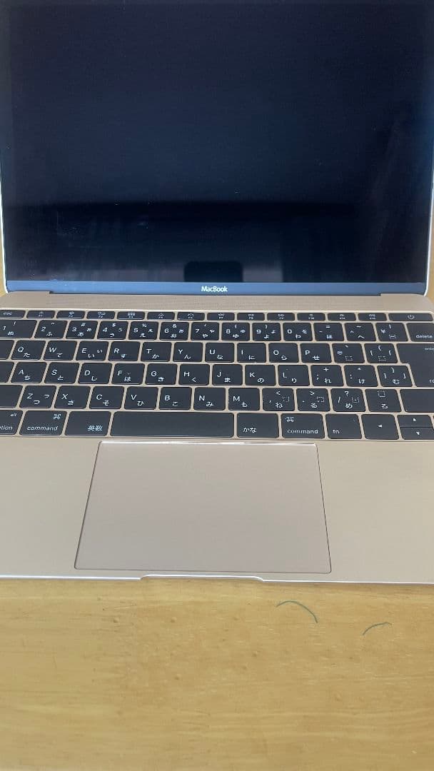 MacBook本体 Macbook 12inch 2015