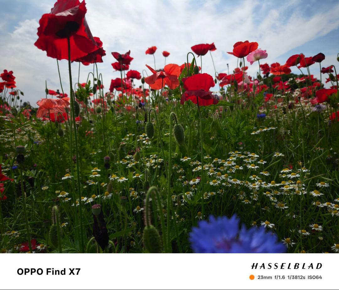 スマートフォン本体 Oppo Find X7 16/512