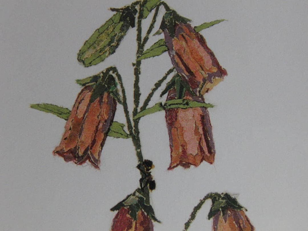 山下清、【ほたるぶくろ】、希少な額装用画集より、美品、日本人画家