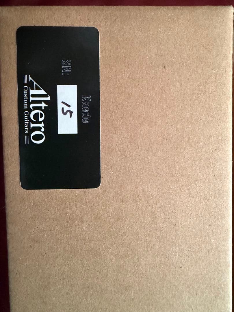 Altero Custom Guitars KAEDE -楓-初期