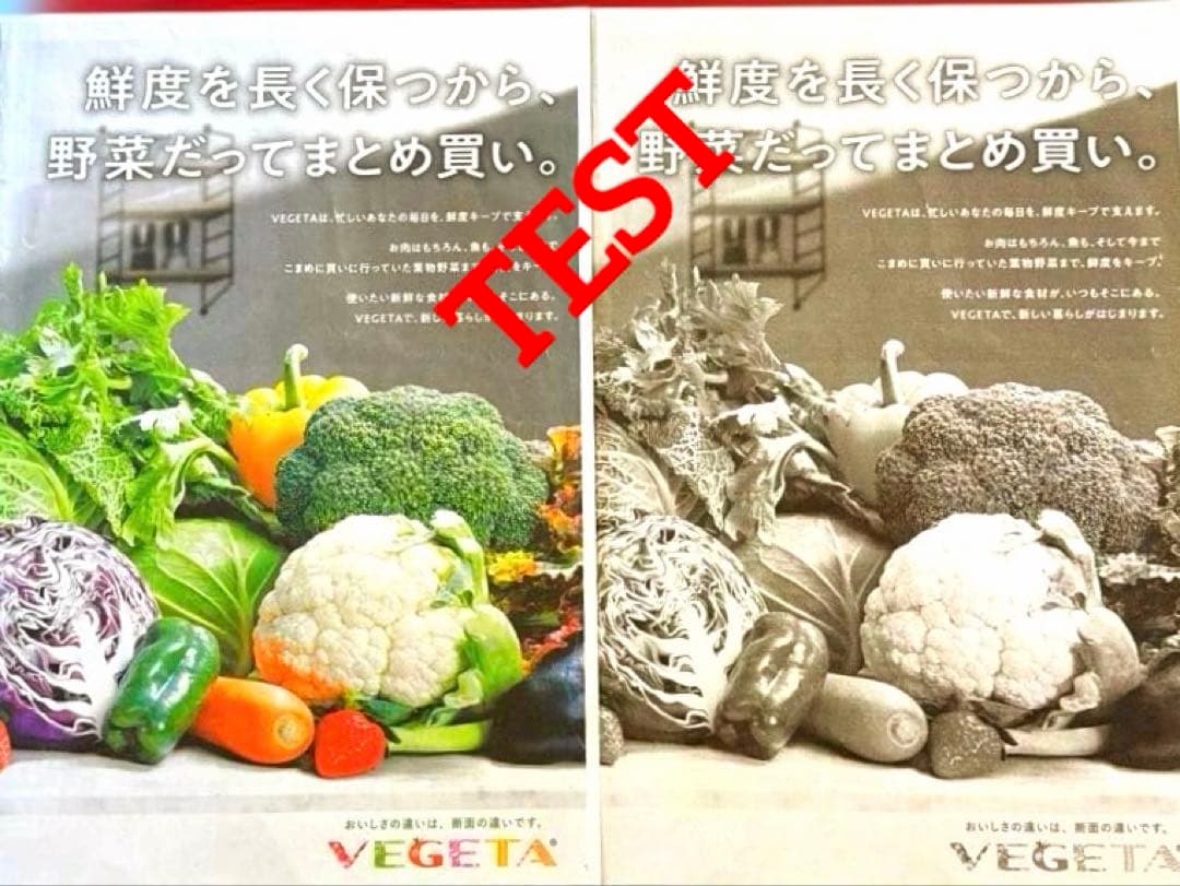 Canon TS8430 レッド インクジェットプリンター