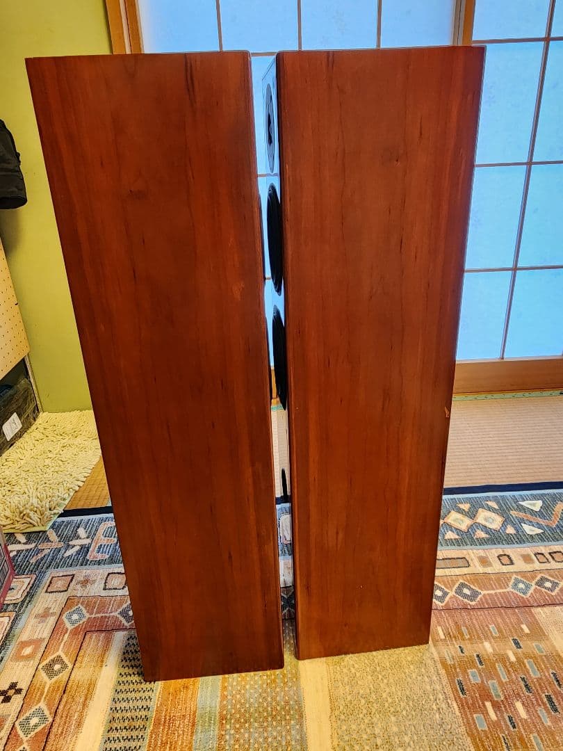 Dali  Tower タワースピーカー