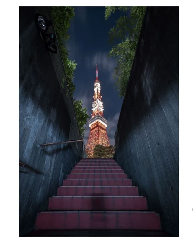 SAMYANG 単焦点広角レンズ MF 14mm F2.8