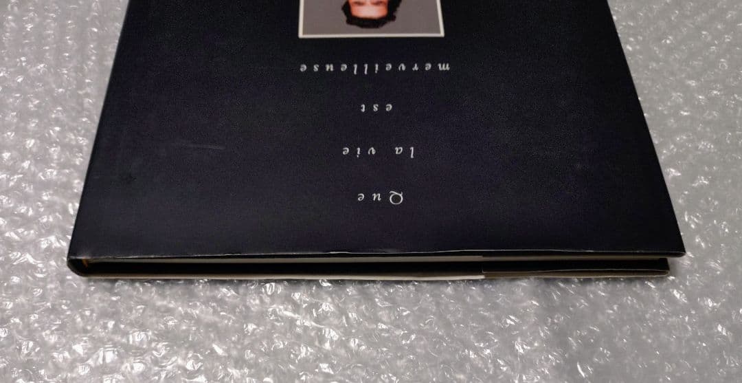 リチャード・アベドン ジュリエット・ビノシュ ランコム 詩集 写真集