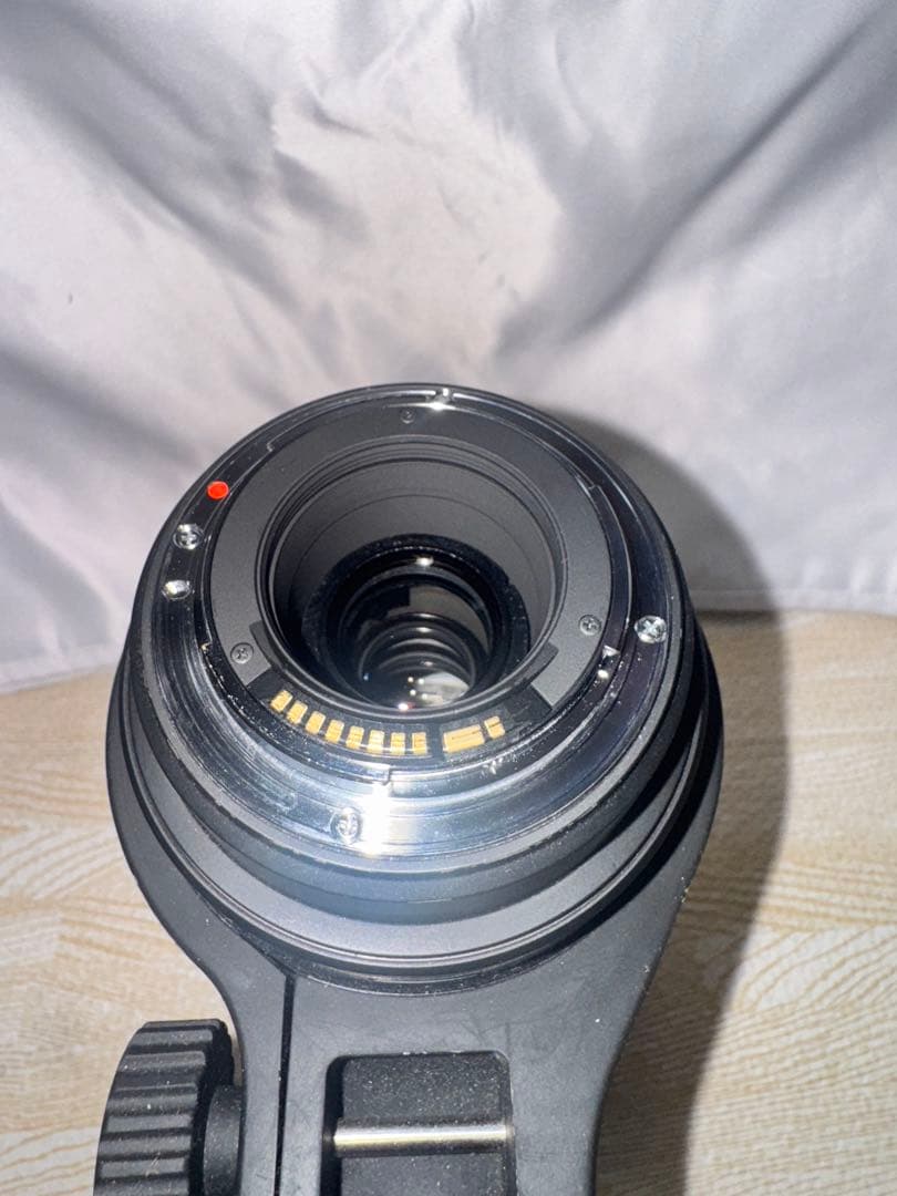 SIGMA DG 50-500mm 1:4.5-6.3 望遠ズームレンズ