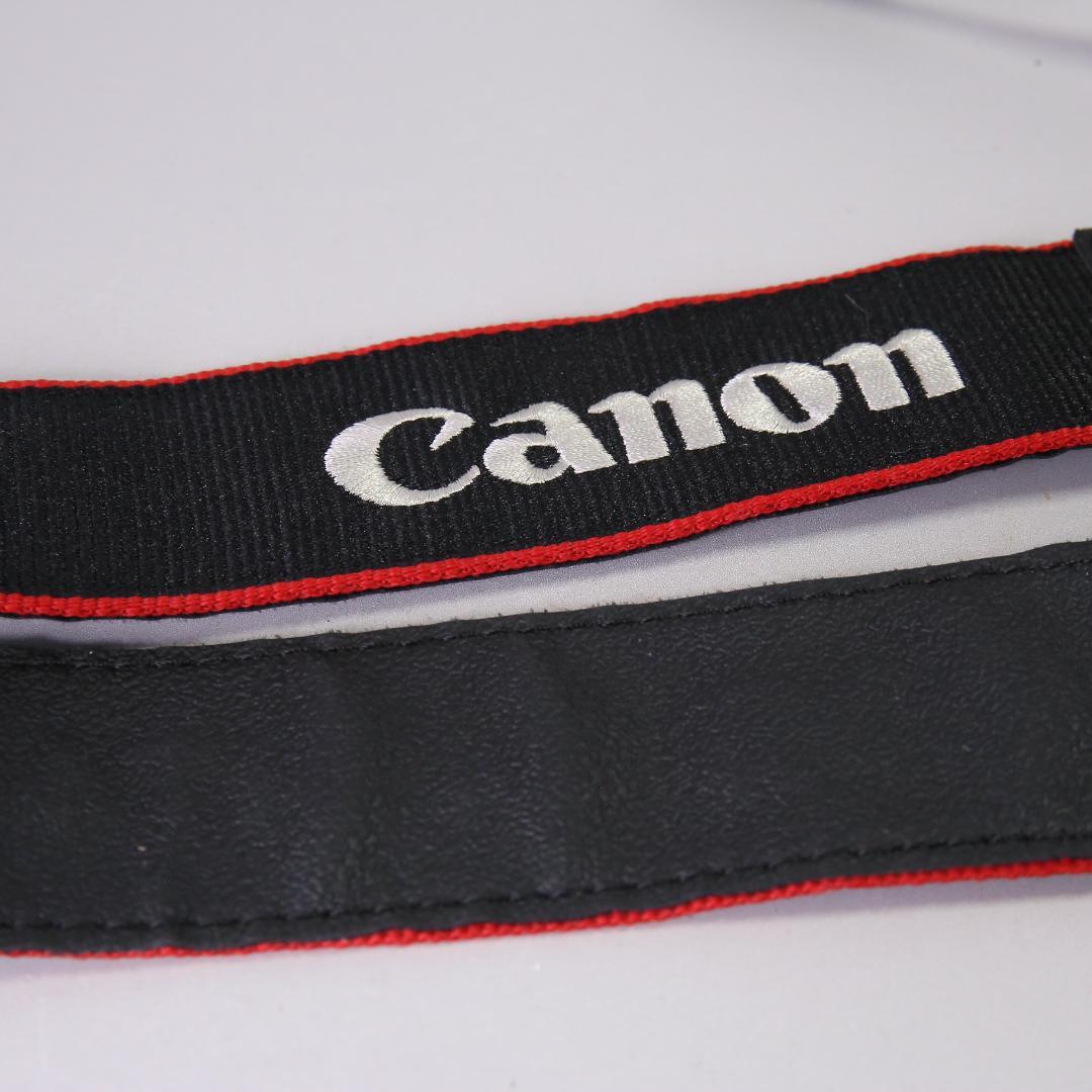 ☆ショット8487回☆ Canon EOS 6D フルサイズ　＃371