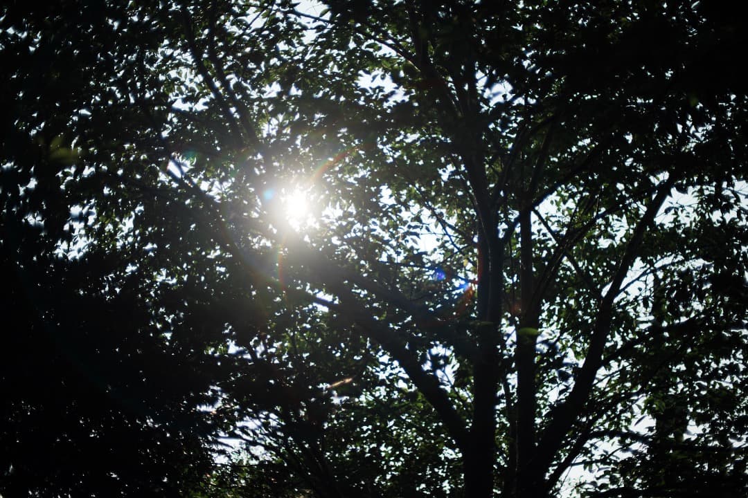 【極美品】動作◎ AI AF Nikkor 50mm F1.4 D 807