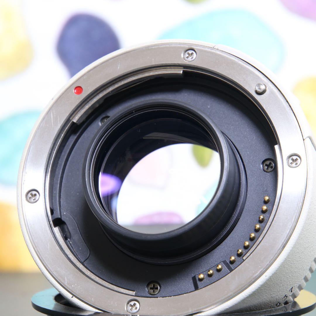 ♥︎◇Canon キヤノン EXTENDER EF 1.4X ◇美品♪