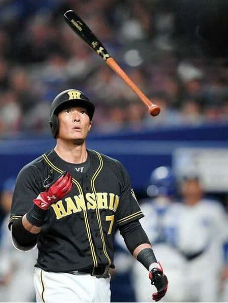 糸井 嘉男 バット 日本ハムファイターズ オリックスバファローズ 阪神