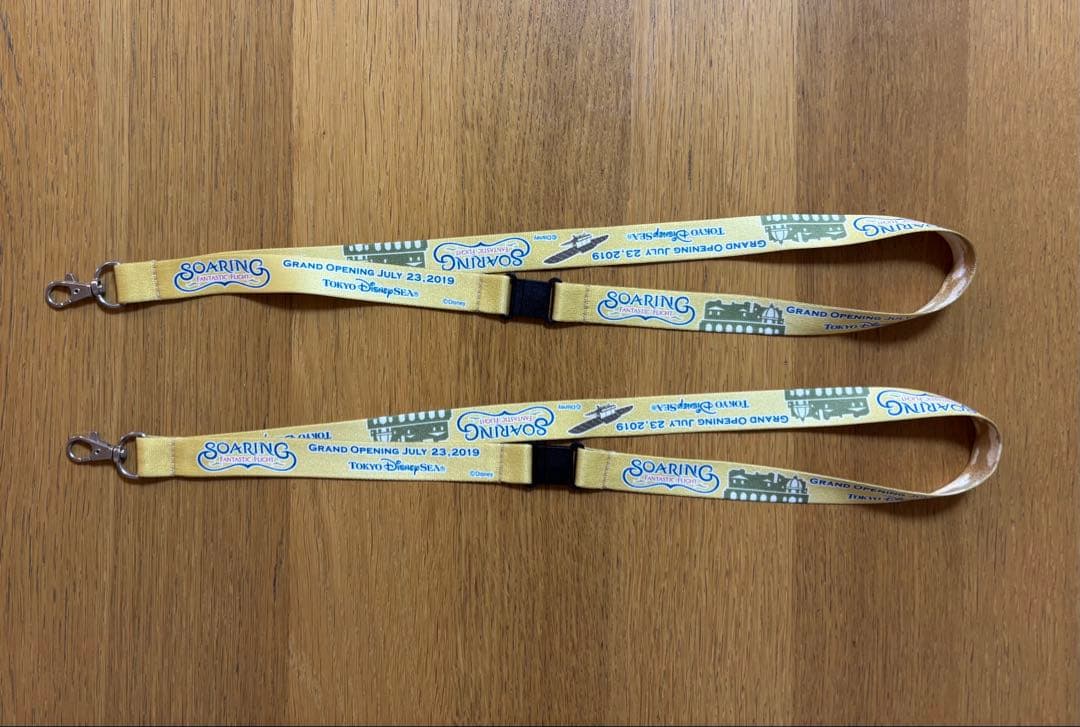 東京ディズニーシー ソアリン ネックストラップ 2本セット／グランド