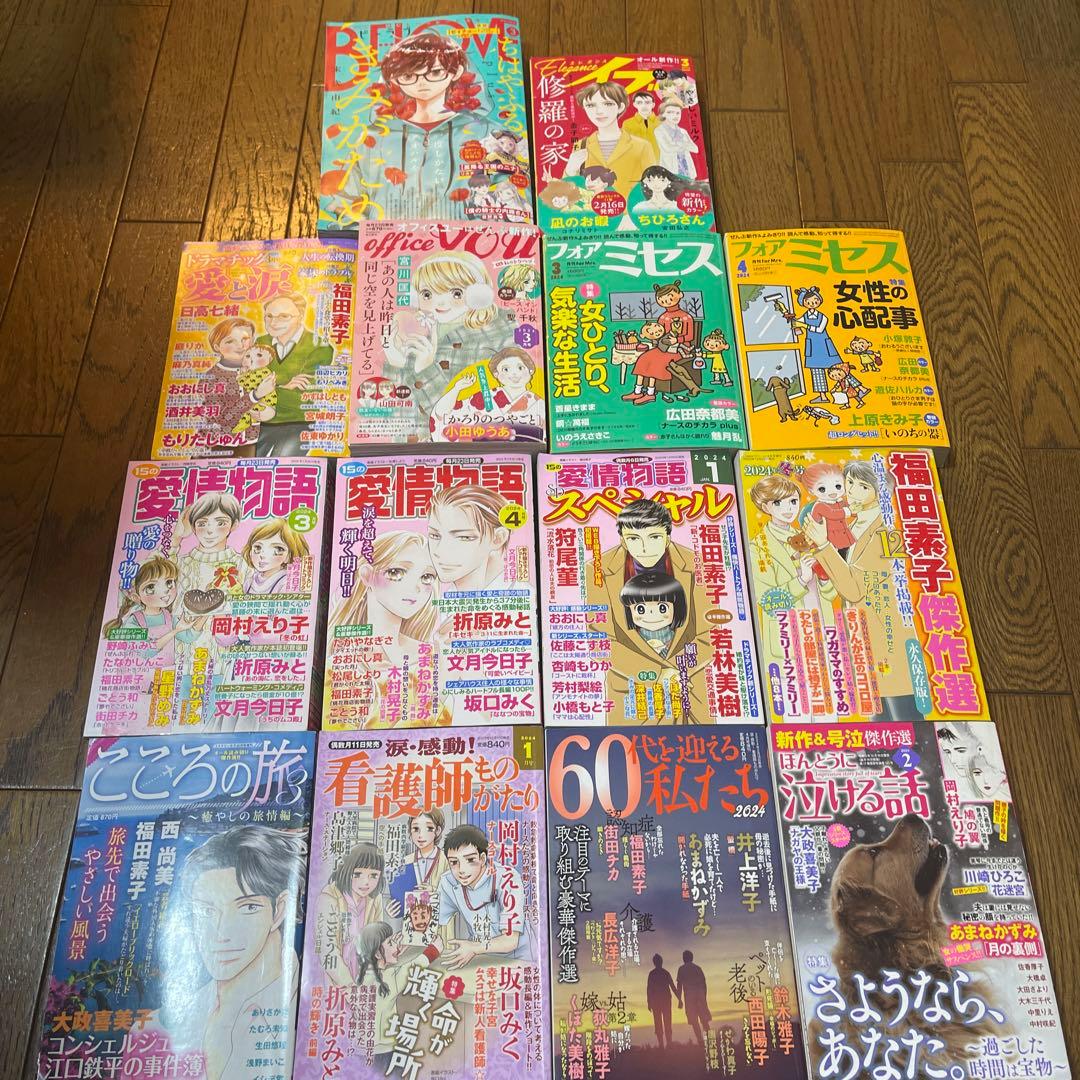 新刊あり レディースコミック まとめ売り 全14冊 - メルカリ