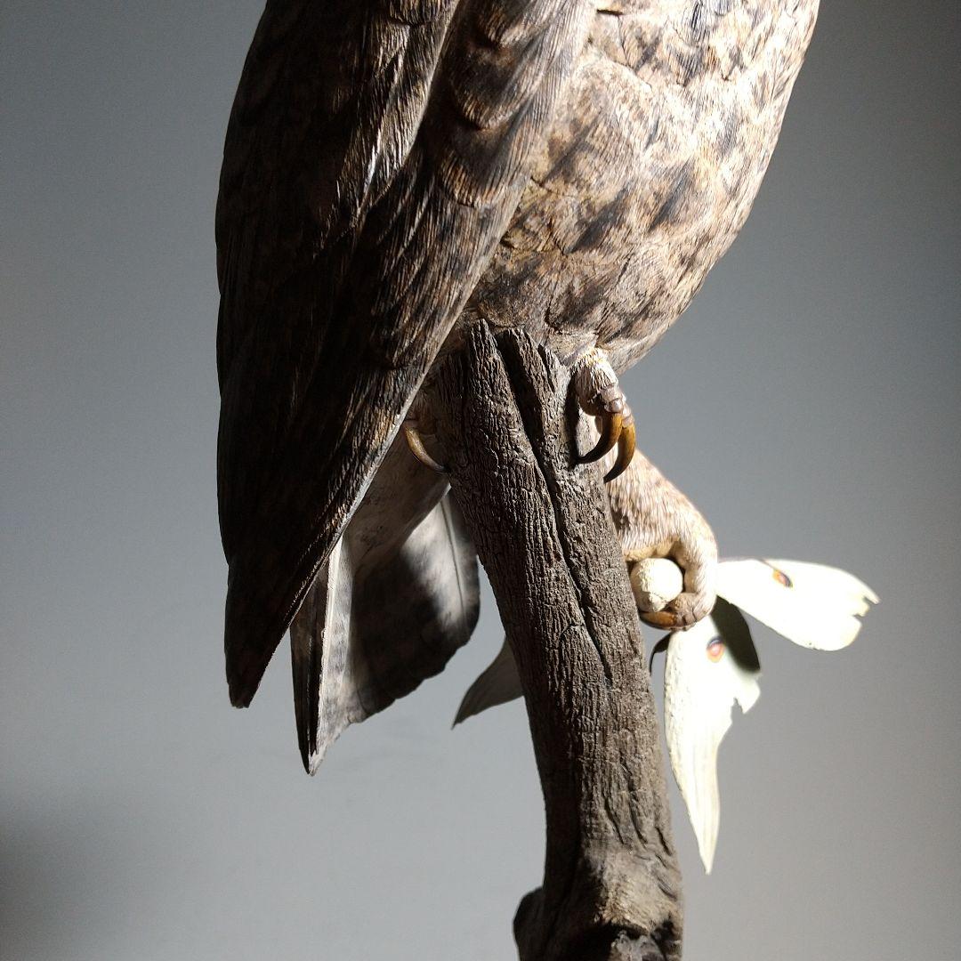 オオコノハズクとオオミズアオのバードカービング