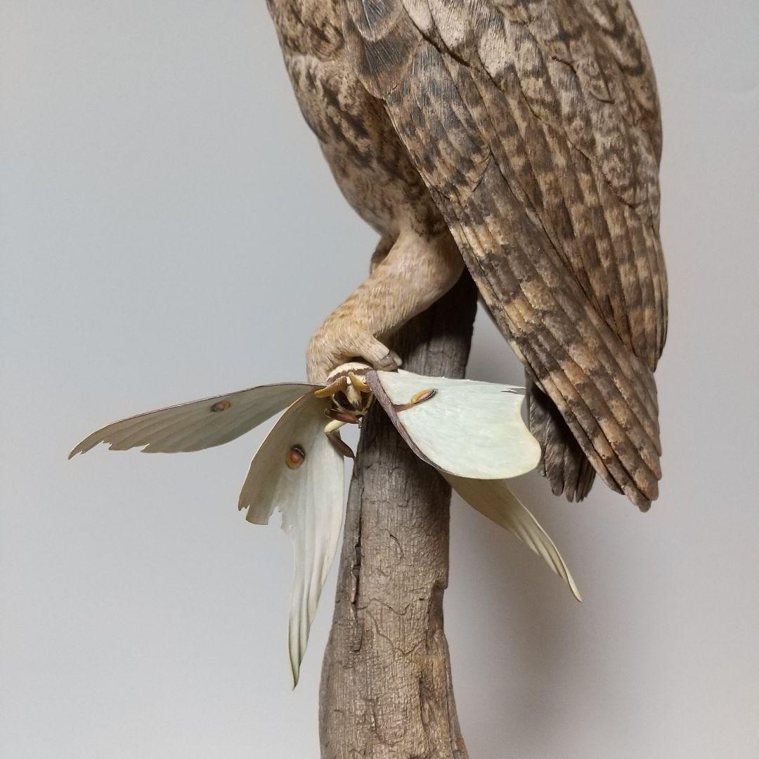 オオコノハズクとオオミズアオのバードカービング