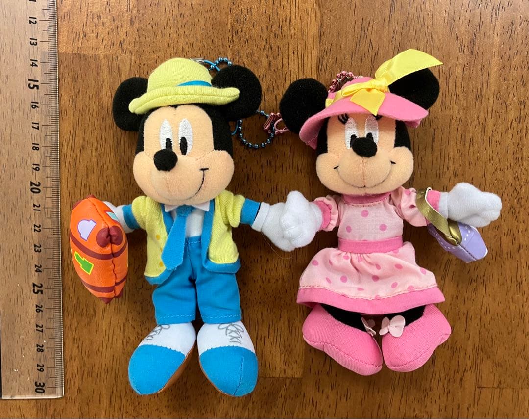 TOKYO Disney resort バケーションパッケージ ミッキー ミニー - メルカリ