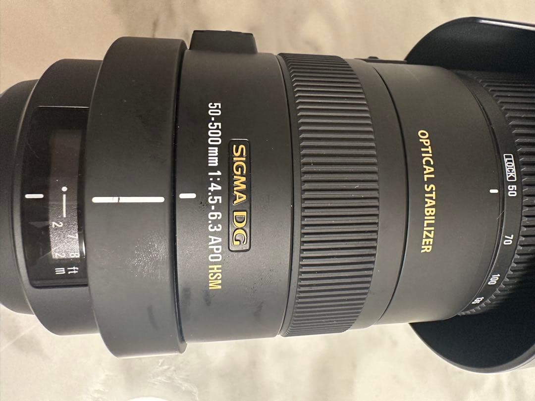 おーつか　SIGMA 50-500mm F4.5-6.3 Nikon