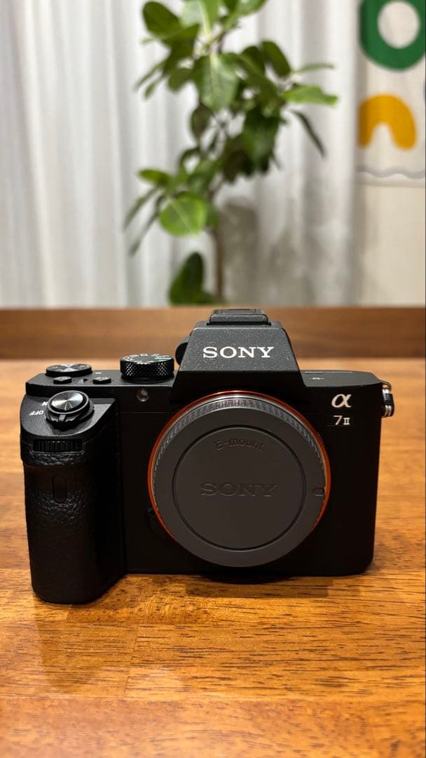 □ SONY α7II ◎レンズセット◎TAMRON 28-200mm F2.8 - メルカリ