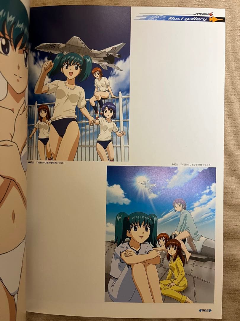 ストラトスフォー ビジュアルブック - メルカリ