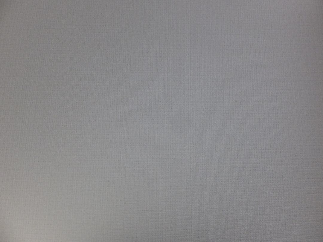 FUJIFILM F1000EXR 動作品