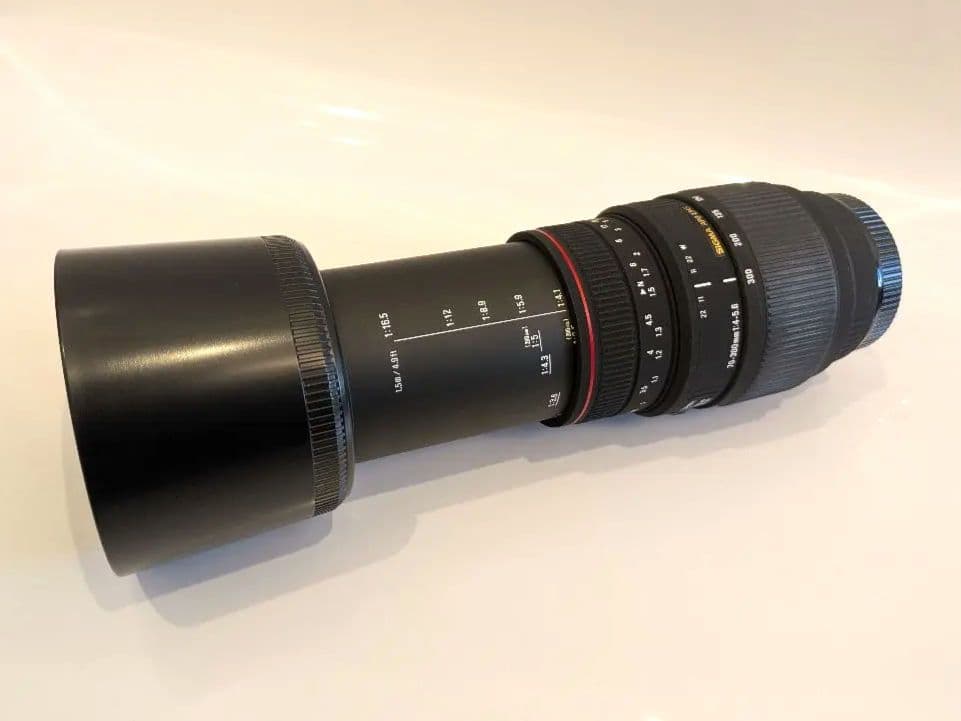 SIGMAズームレンズ APO70-300mmF4-5.6DGMACROソニー