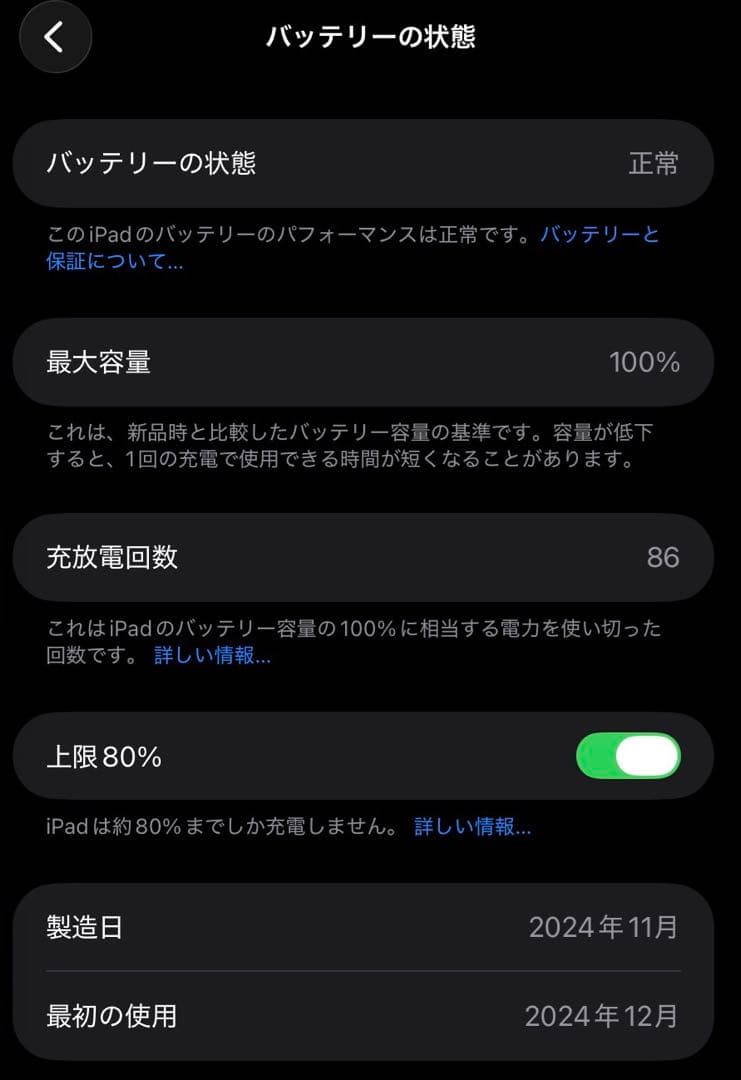 【極美品】iPad mini (A17 Pro) 128GB スペースグレイ