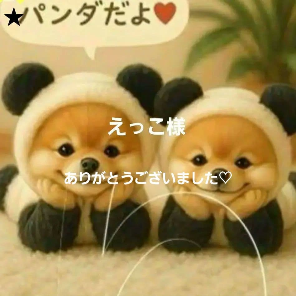 えっこ様確認用 しょーこ☆~様確認 やこさん確認用 こー様オーダー確認用 yuchan様