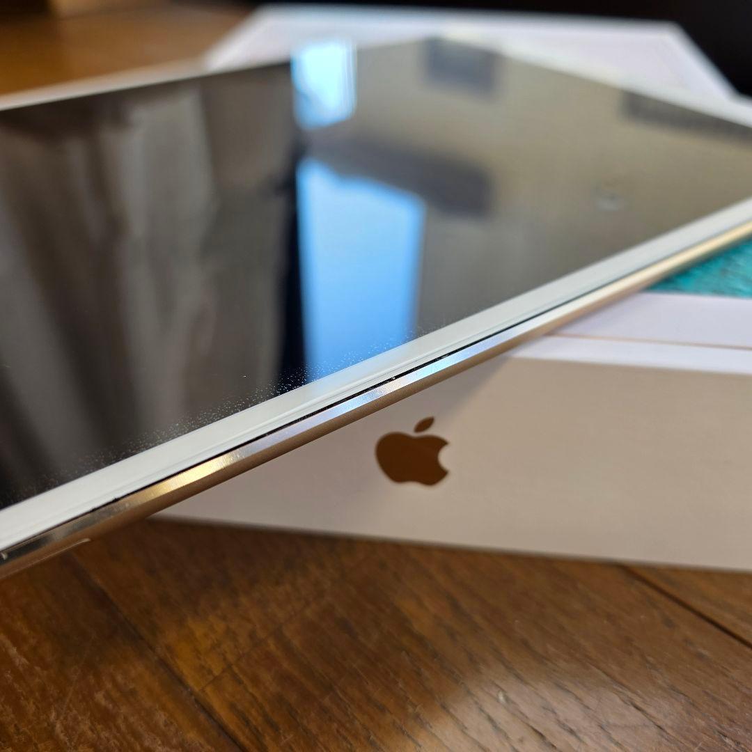 藤本【ジャンク品】iPad Pro 10.5インチ 256GB