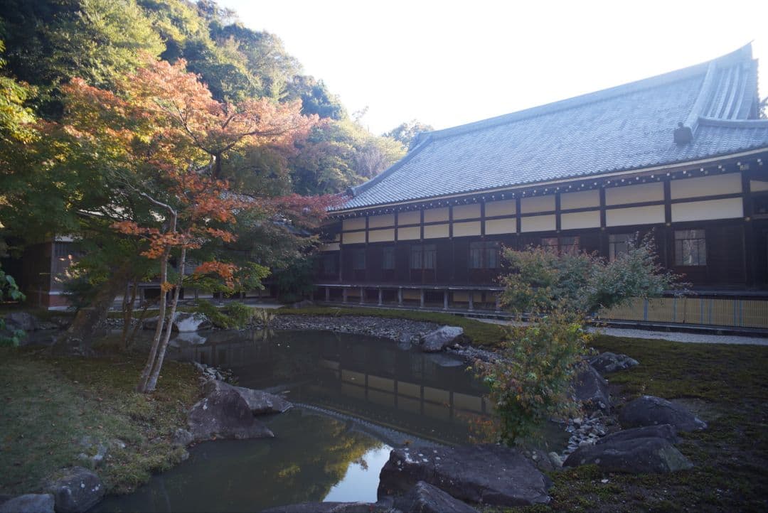 【良品】OLYMPUS OM G.ZUIKO 21mm f3.5 純正付属品付