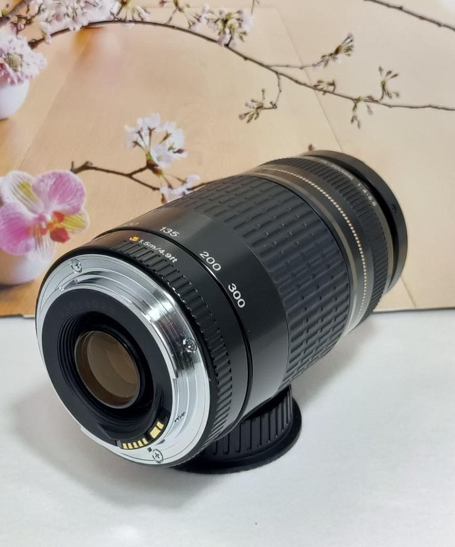 レンズが残す絆！Canon キヤノン 望遠レンズ EF75-300mm #5