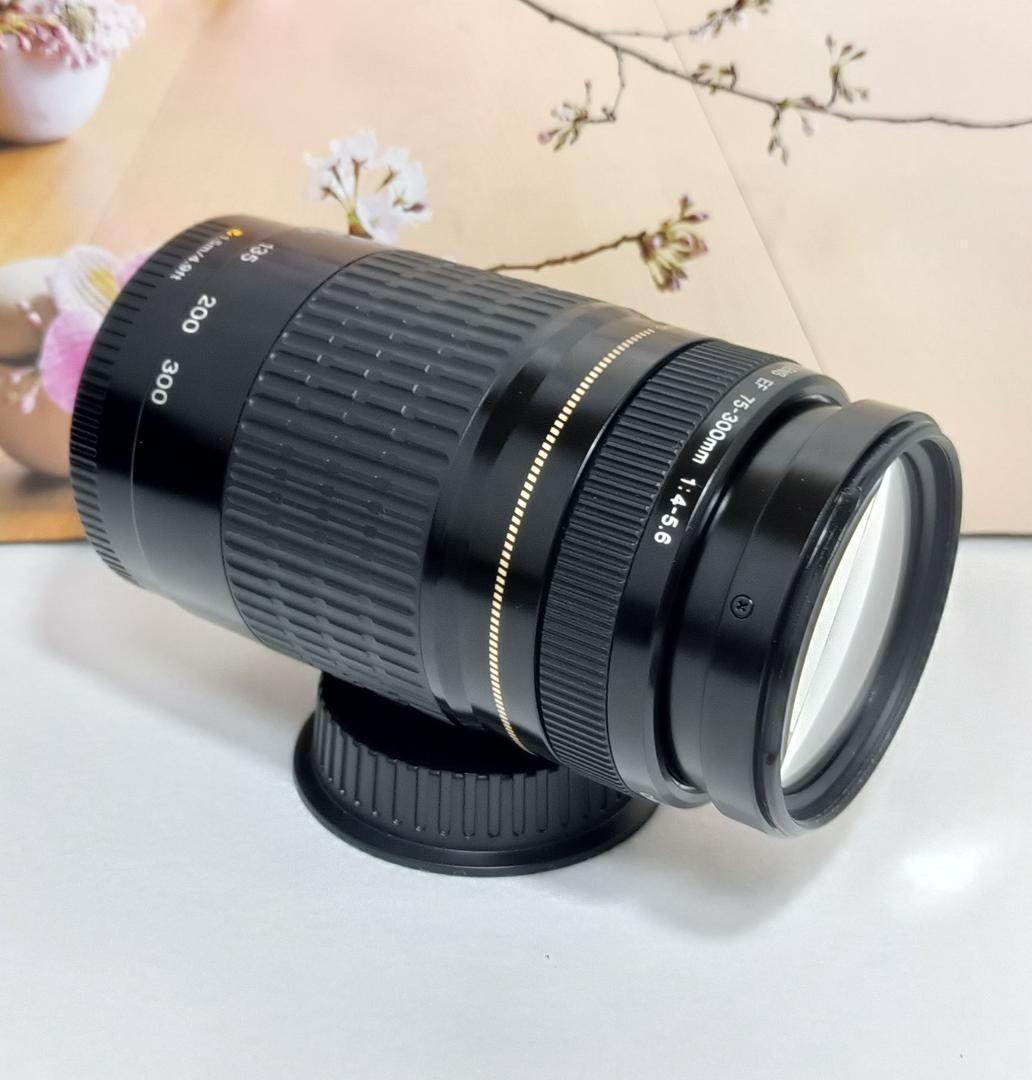 レンズが残す絆！Canon キヤノン 望遠レンズ EF75-300mm #5