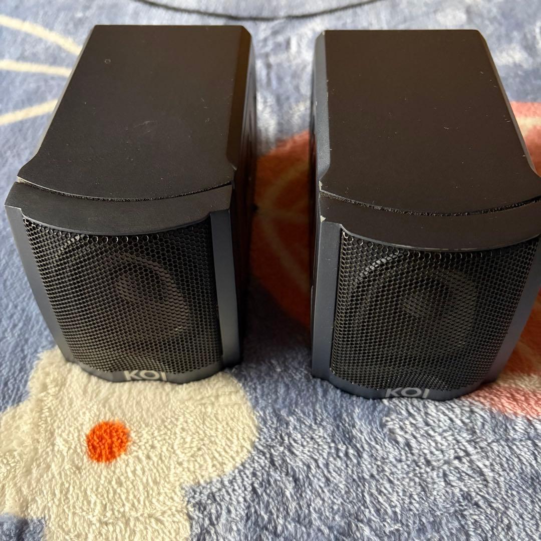 【美品】KOI Tiger Type 2a パワードスピーカーシステム