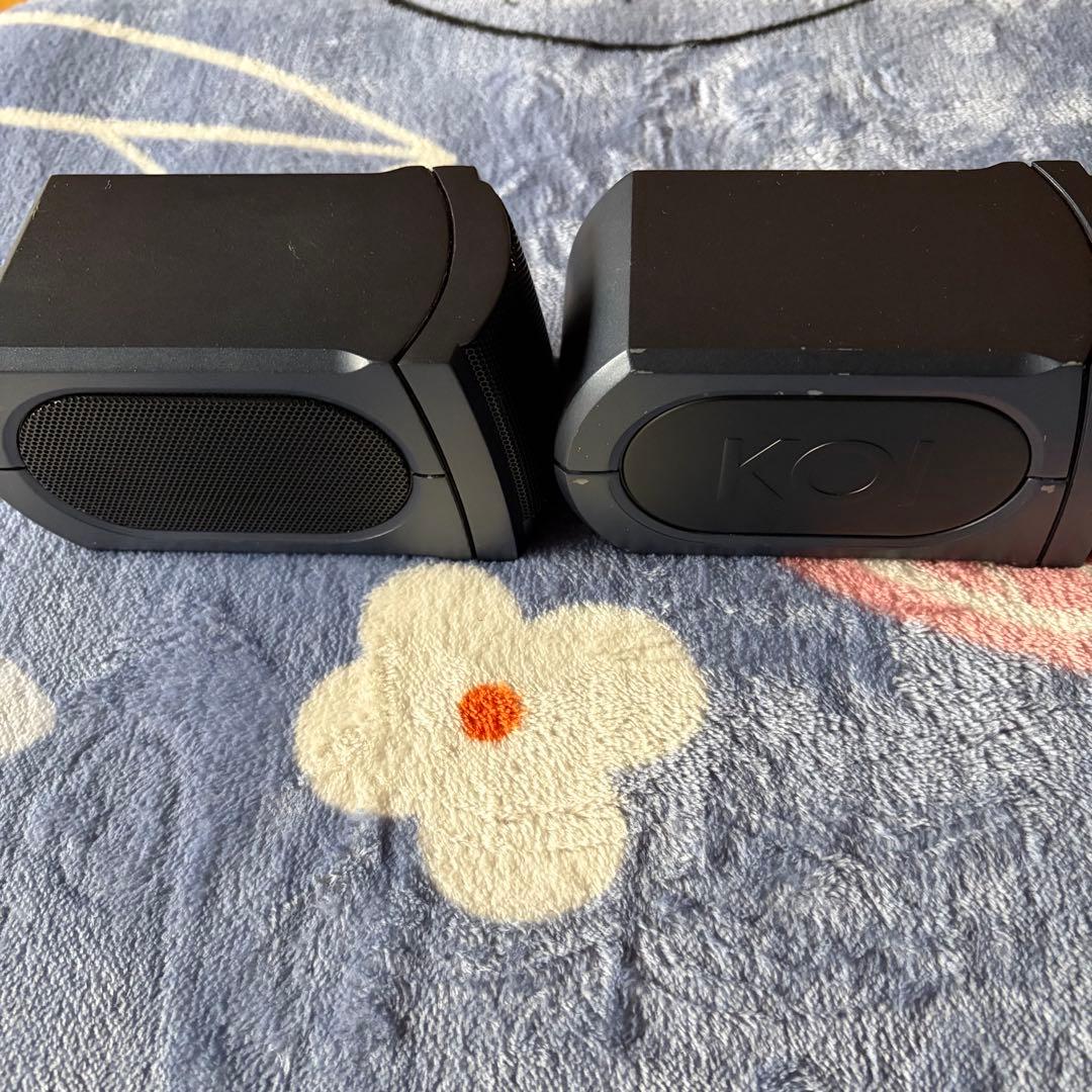 【美品】KOI Tiger Type 2a パワードスピーカーシステム