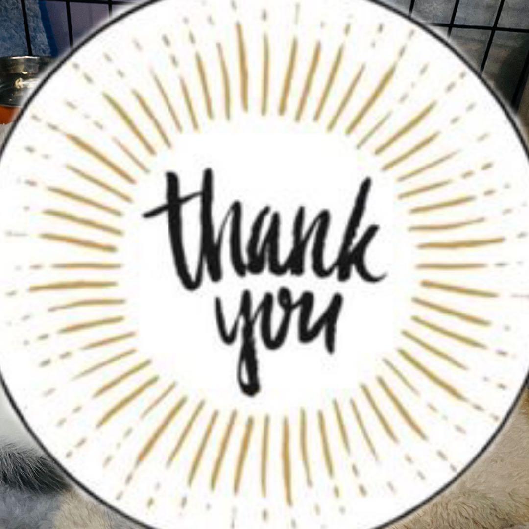 ☆。.:＊・にゃんにゃん ☆。.:＊・゜ 様専用 ダイヤモンドアート