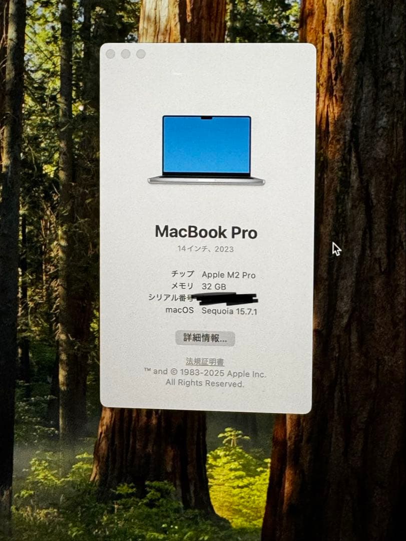 MacBook本体 MacBook Pro 14 M2 Pro 2023 32gb US