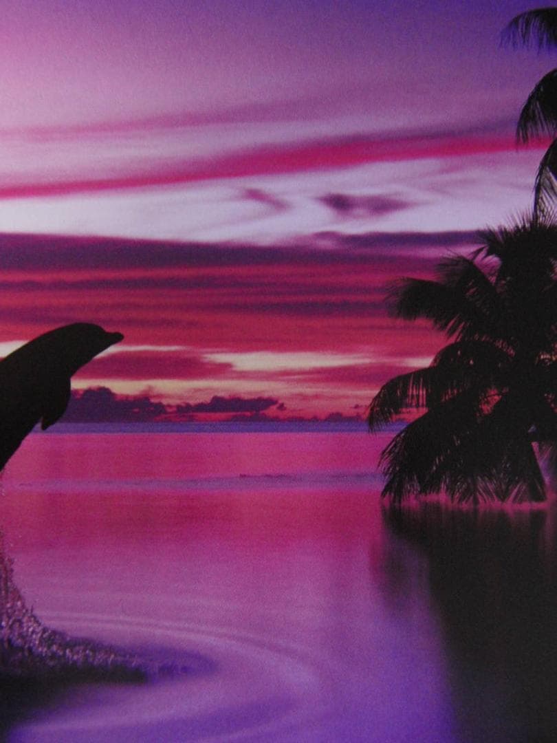 クリスチャン・ラッセン、【サイレント イリュージョン】、希少な額装