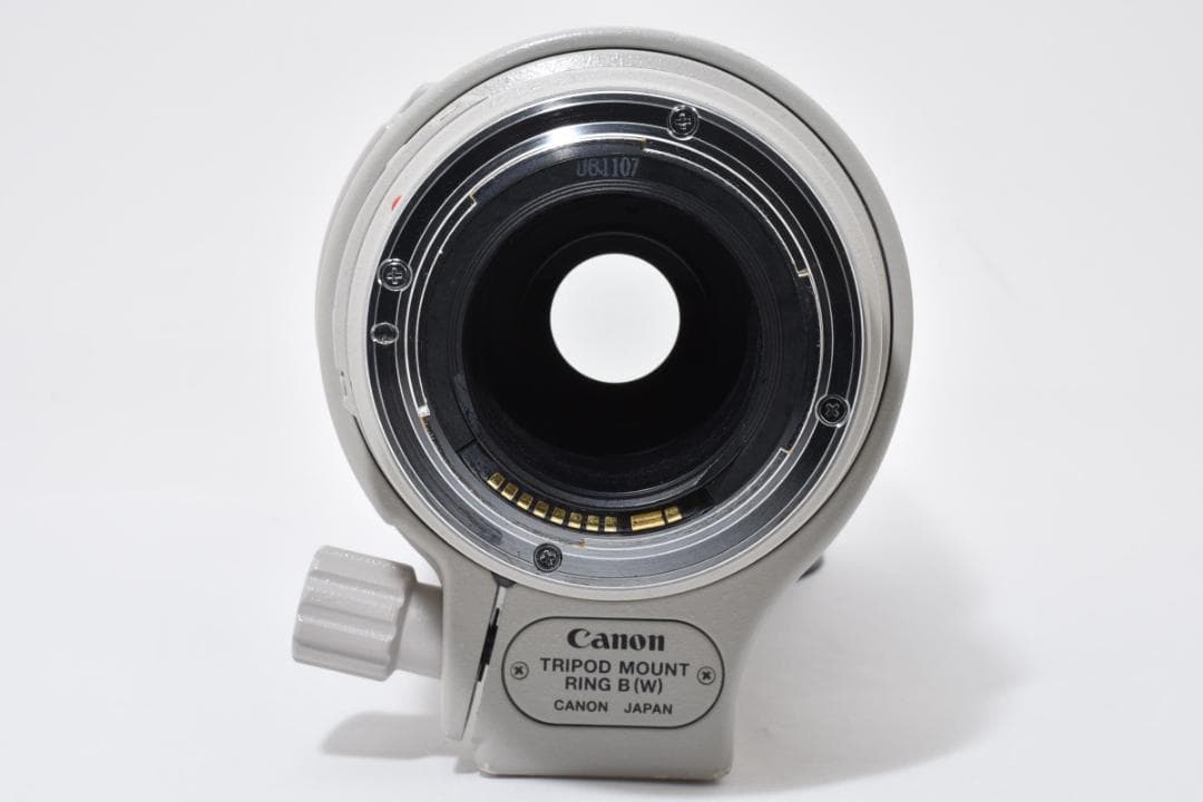 キヤノン Canon EF100-400mm F4.5-5.6L IS USM