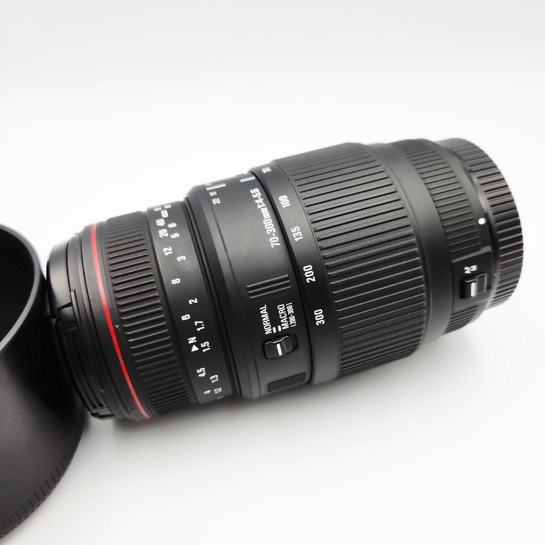 SIGMA APO DG 70-300mm 一眼レフ ズームレンズ カメラ