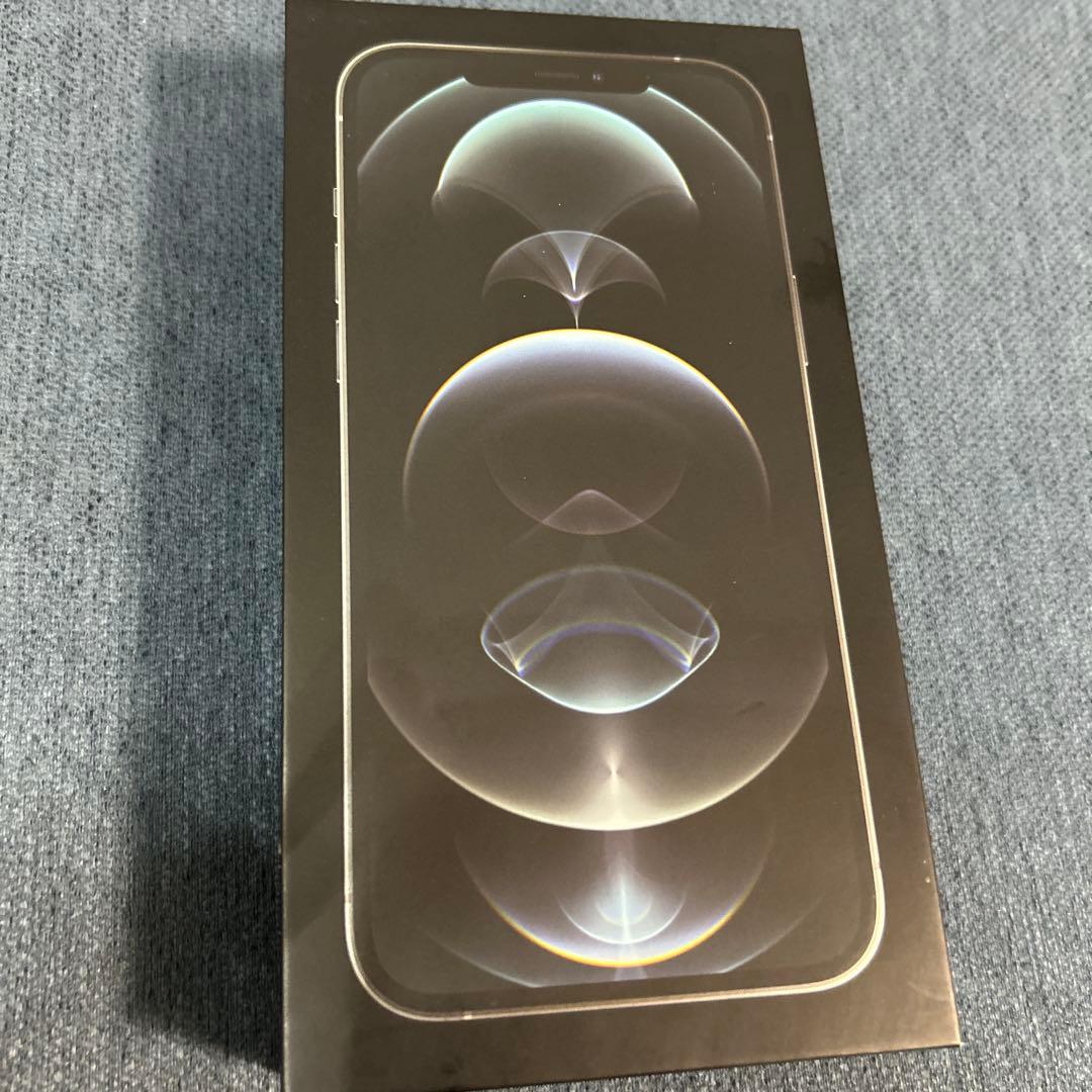 Apple iPhone12 ProMax シルバー 256GB