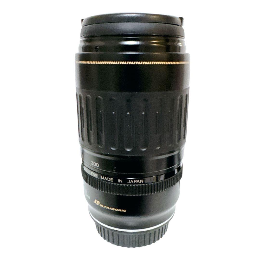 キャノン Canon EF 100-300mm 4.5-5.6 USM