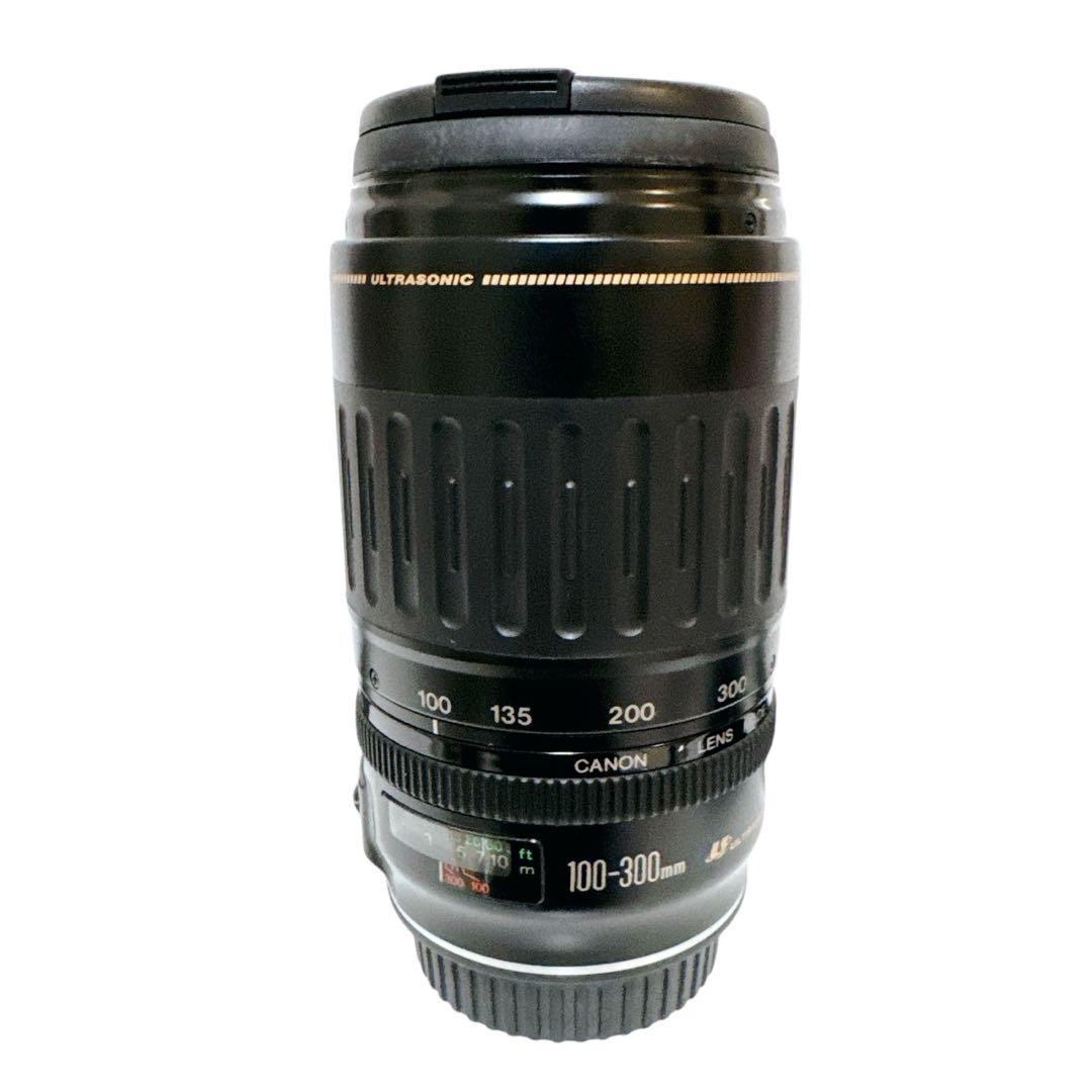 キャノン Canon EF 100-300mm 4.5-5.6 USM