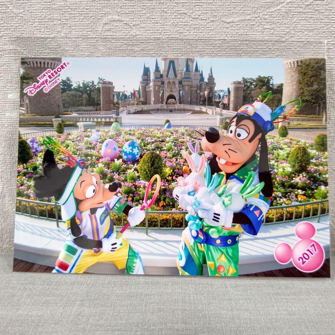 ディズニー スペシャルフォト うさたま グーフィー マックス スペフォ