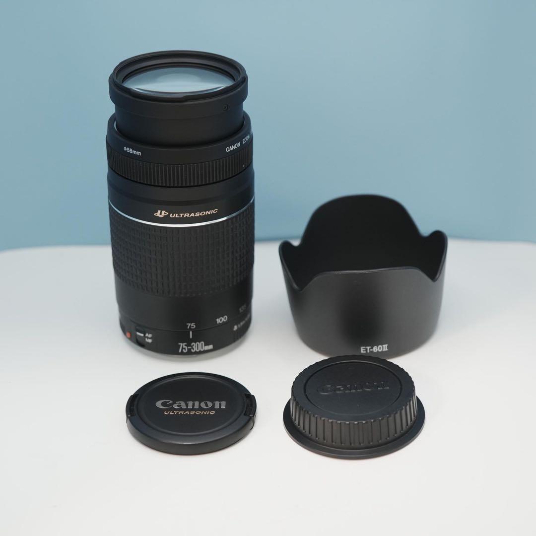 Canon純正 75-300mm 望遠レンズ 美品 a3956