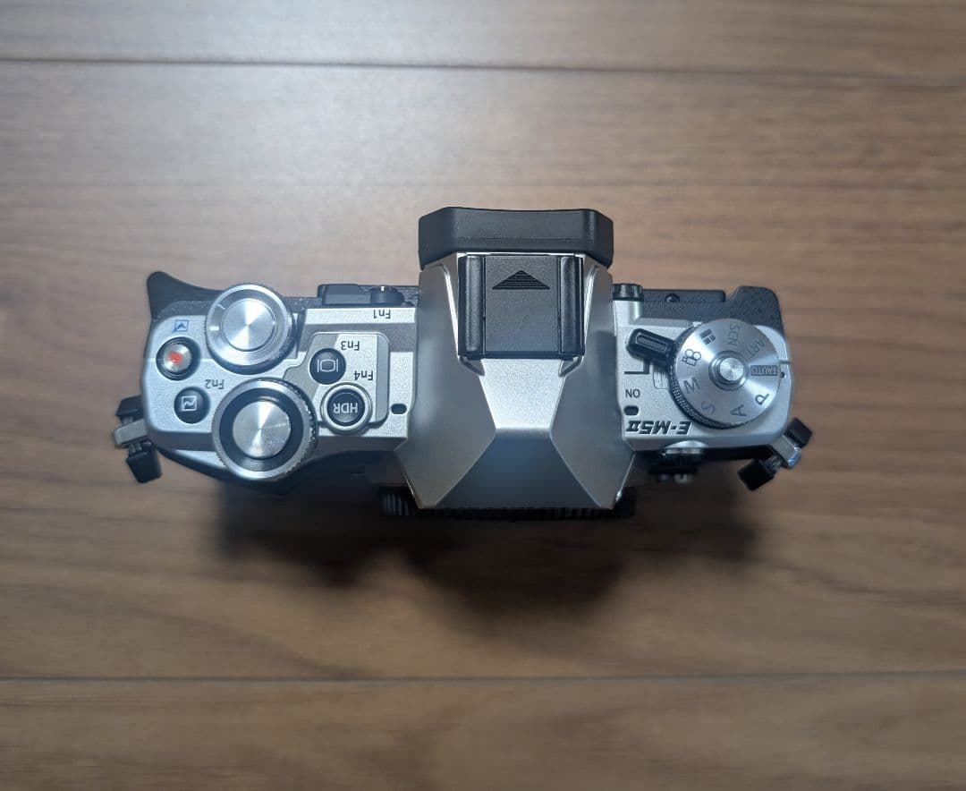 OLYMPUS OM-D E-M5 MarkIIフルセット シャッター回数311