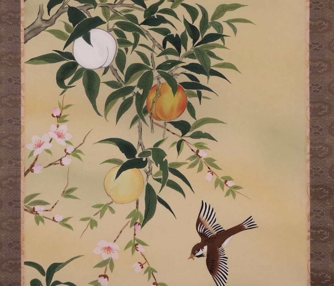 模写】日本画 観山 紅白三桃図 花鳥 雀 絹本 掛軸 彩色 MA989 - メルカリ