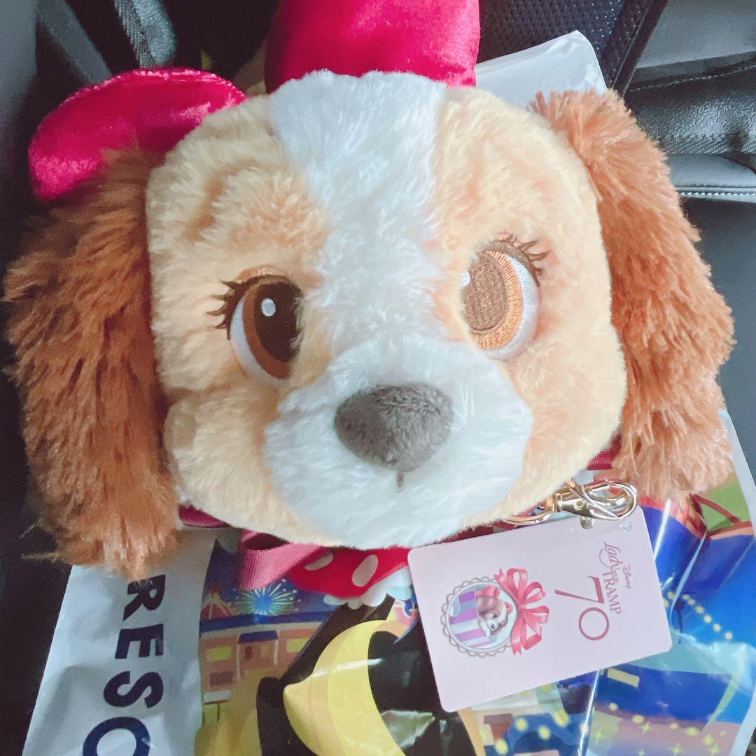 ディズニーストア わんわん物語 70周年 マルチポシェット レディ