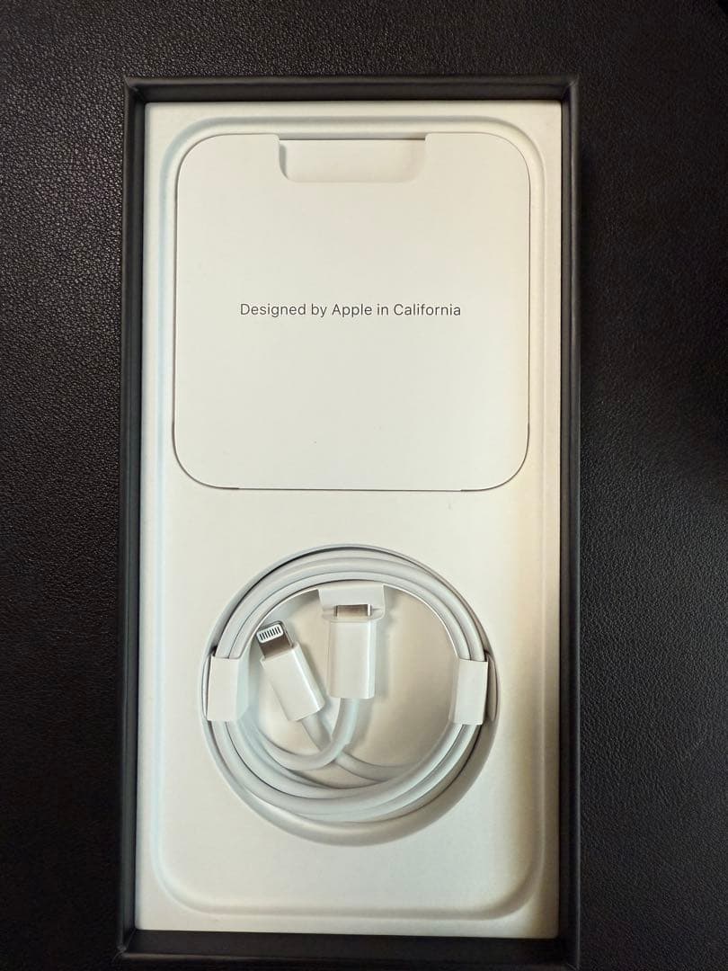 iPhone 13 Pro シルバー 本体 充電ケーブル付き