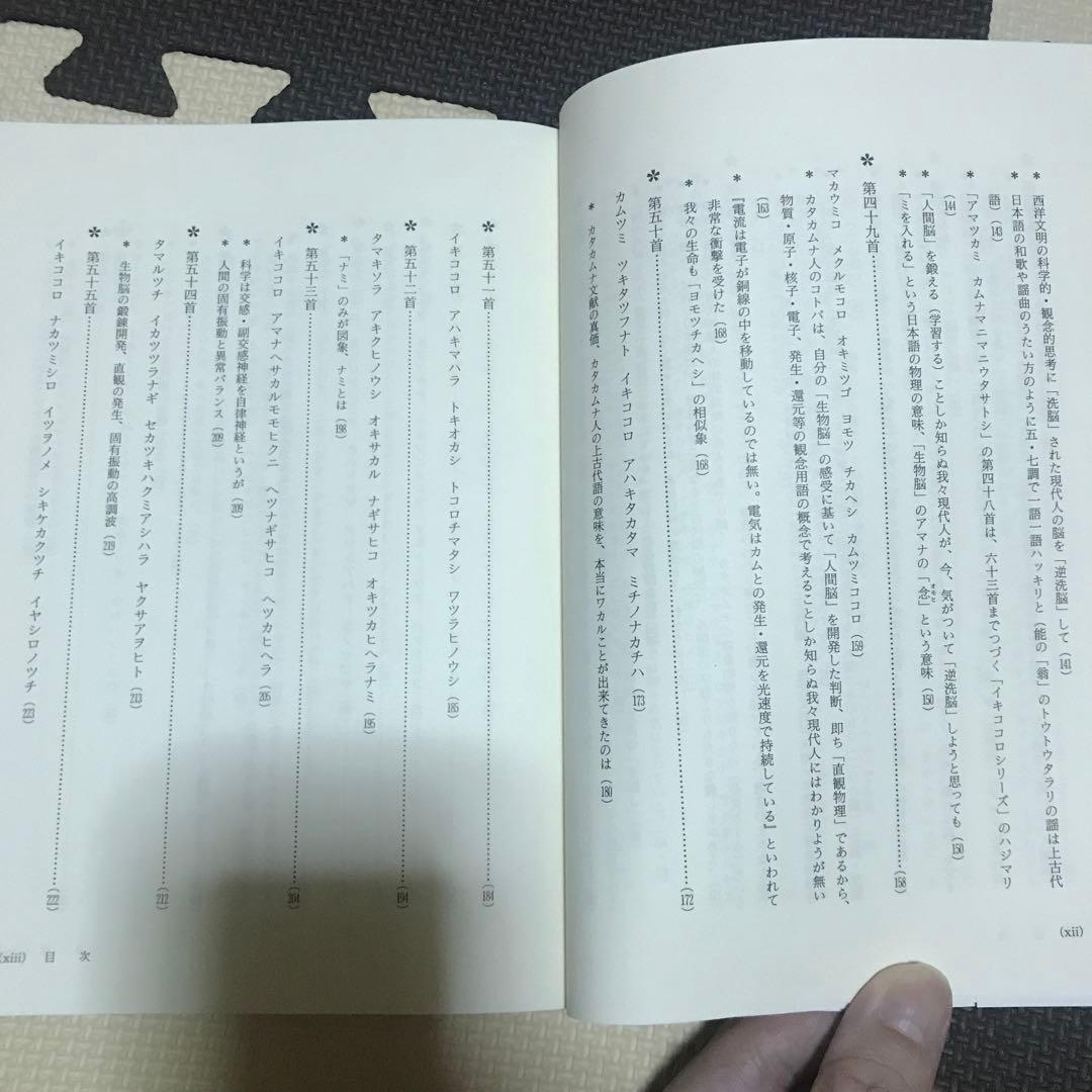 相似象学会誌　相似象　第１５号